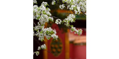 【展会资讯】瓦力游戏精机5月展会一览，等您来参观！